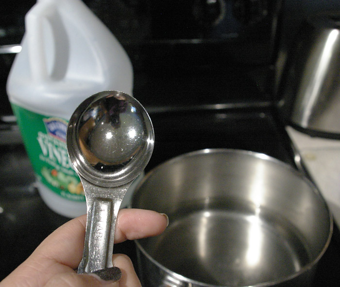 Dyed Tights with Food Coloring Chezlin