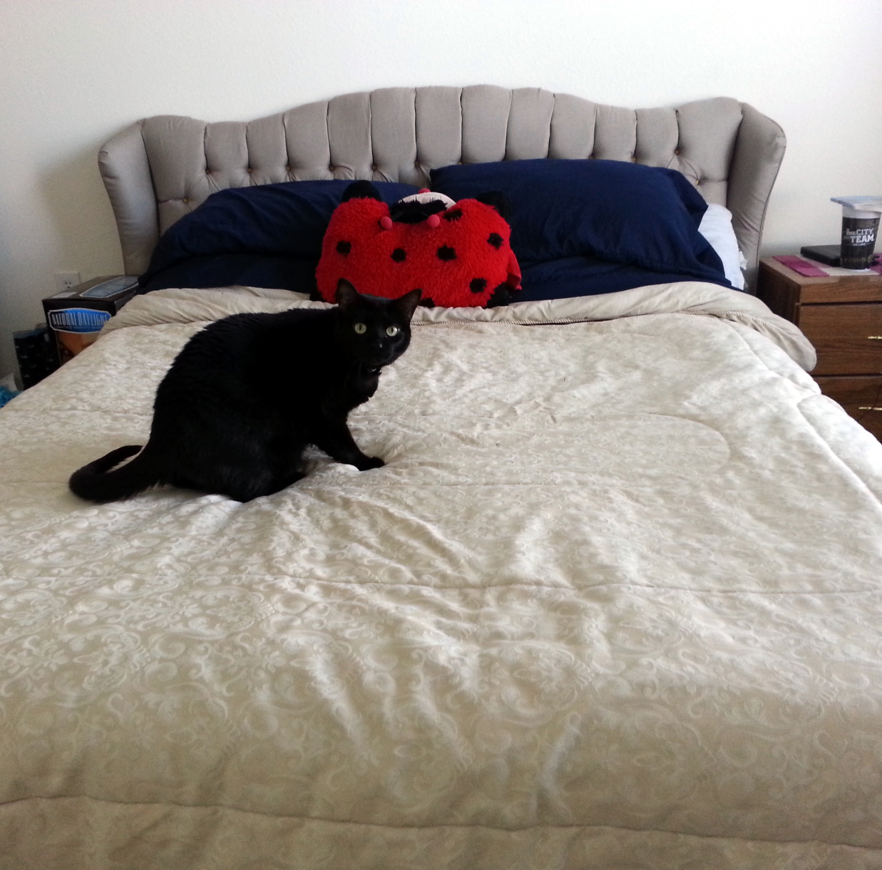 Tufted Headboard from an Ugly Couch Chezlin